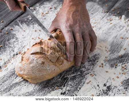 Baking and cooking concept background. Hands of baker closeup cutting bread loaf with knife on rustic wooden table sprinkled with flour. Stained dirty hands of cook.