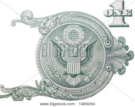 Один белоголовый орлан