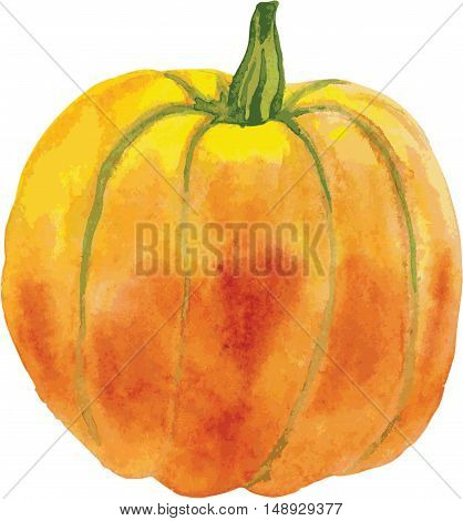 Watercolor handraw illustration orange autumn ripe pumpkins