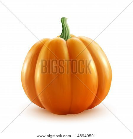 Bright orange vector realistic pumpkin isolated on white background