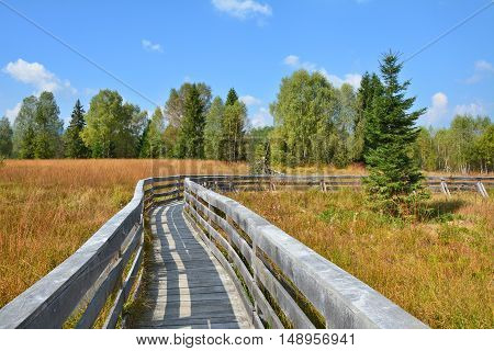 Path through the peat bog in Poland Bieszczady National Park