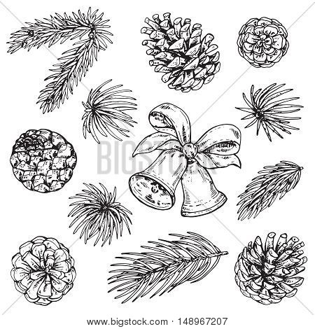 Collection of pine cones and Christmas bells. Black and white hand drawn graphic sketch vector illustration.