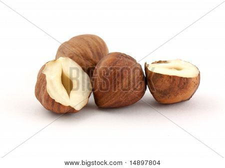 Hasel nut