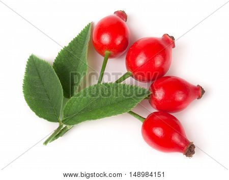 branch rosehip with leaves isolated on white background.