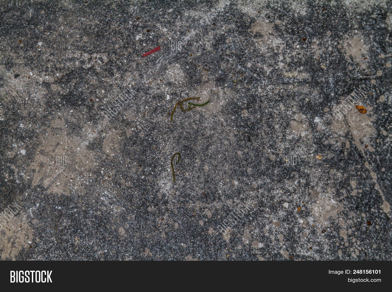 Dark Paint Concrete Image Photo Free Trial Bigstock