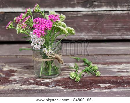 Glass With Flowers Achillea Millefolium, Commonly Known As Yarrow Or Common Yarrow On Rustic Weather