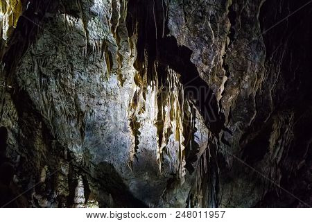 Illuminated Multicolored Stalactites In Cave Han-sur-lesse In Belgium