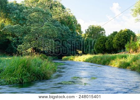 A River In The Early Morning In Waikato, New Zealand