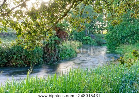 A River In The Early Morning In Waikato, New Zealand