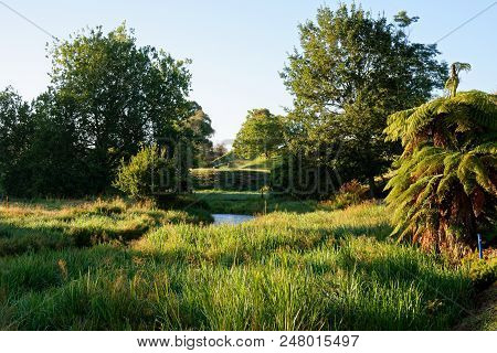 Rural Scene In Waikato, New Zealand