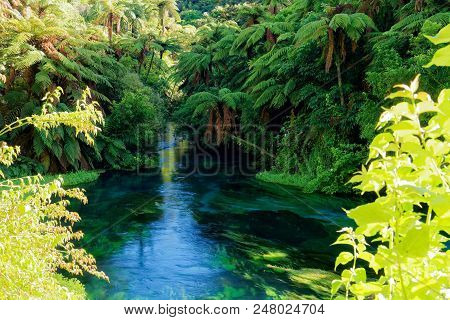 River Surrounded In Lush Green Scenery In New Zealand