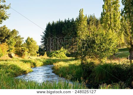 A River In The Early Morning In Waikato, New Zealand