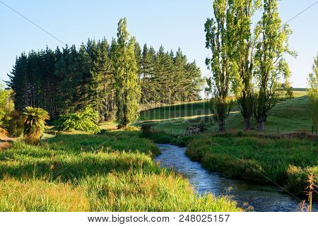 A River In The Early Morning In Waikato, New Zealand