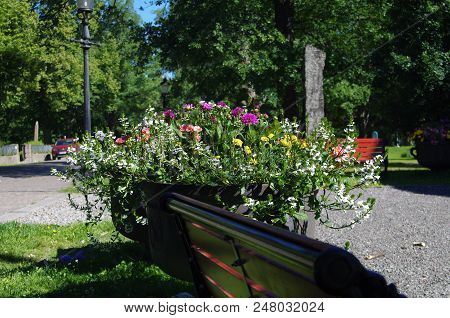 Park Bench With Colourful Flowers In A City Park,ludvika