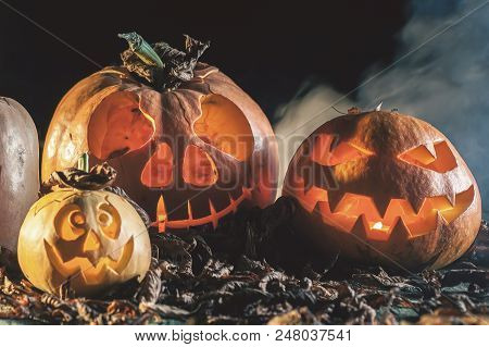 Halloween Pumpkin At Wood Background. October Holiday. Pumpkins Family