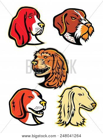 Mascot Icon Illustration Set Of Heads Of Hound Dogs Like The Basset Hound, German Wirehaired Pointer