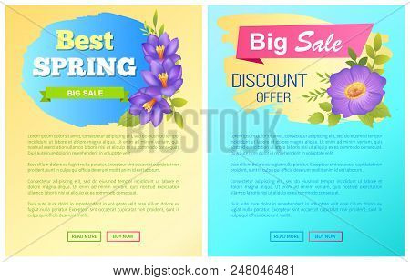Best Spring Big Sale Advertisement Label Crocus Purple Flowers With Yellow Center Vector Illustratio