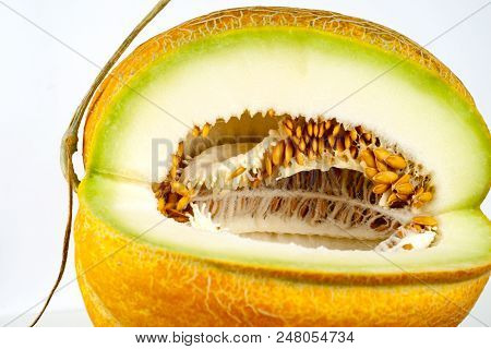 Melon Isolated On White Clipping Path
