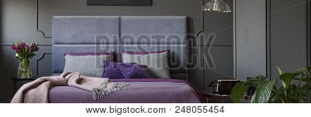 Double Bed With Soft Bedhead, Purple Bedclothes And Grey Pillows Standing In Dark Bedroom Interior W