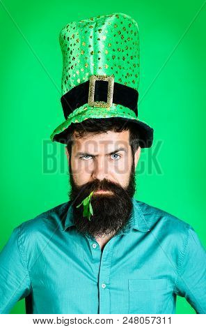 St Patrick's Day. Serious Bearded Man With Clover In Mouth. Bearded Man In Green Men Hat Celebrate P
