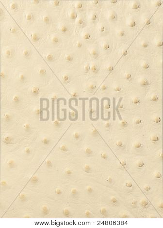 valkoinen nahka texture lähikuva tausta-ja suunnittelu