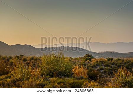 Serene Landscape In Natural Park, Almeria, Andalusia Spain