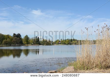 Toolo Bay In Hesperia Park, Edged By Tall Reeds