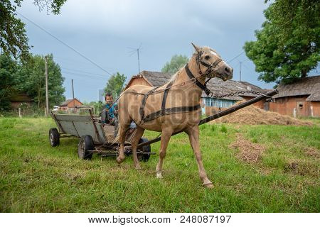 Litynia Village, Ukraine - June 02, 2018: Two Young Boys Throw Hay Out Of A Cart, Stocking Hay For L