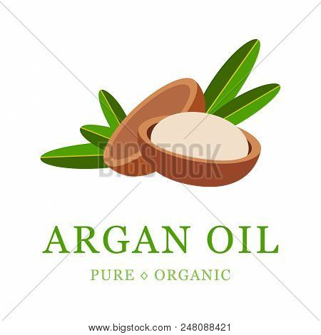 Argan Oil Skin Care Cosmetic. Argan Seeds, For The Production Of Oil. Very Nutritious For Skin And H