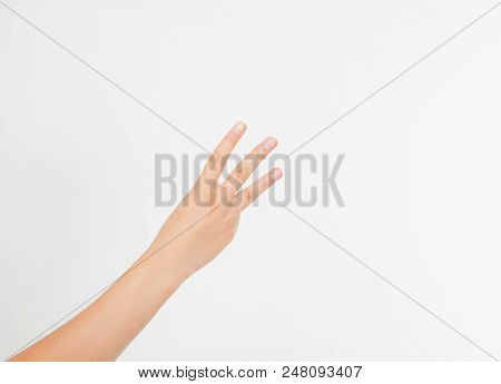 Hand Two Palm Up. Handbreadth Isolated On A White Background. Front View. Mock Up. Copy Space. Templ