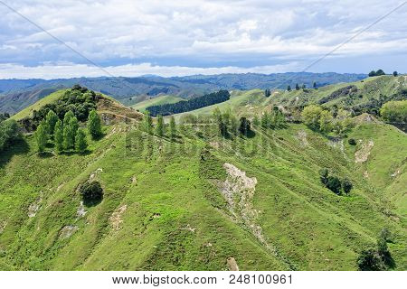 Rural Scenery In Taranaki, New Zealand