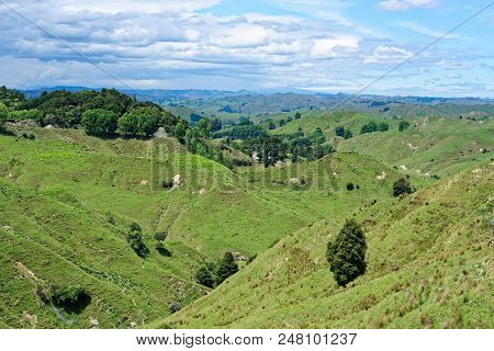 Rural Scenery In Taranaki, New Zealand