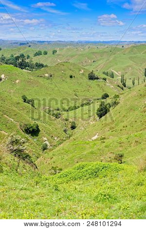 Rural Scenery In Taranaki, New Zealand