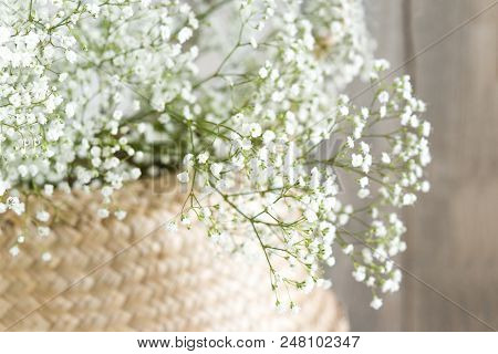 Soft Home Decor, Small Vases With Baby's Breath Bouquet. Interior.