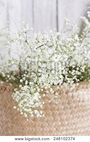 Soft Home Decor, Small Vases With Baby's Breath Bouquet. Interior.