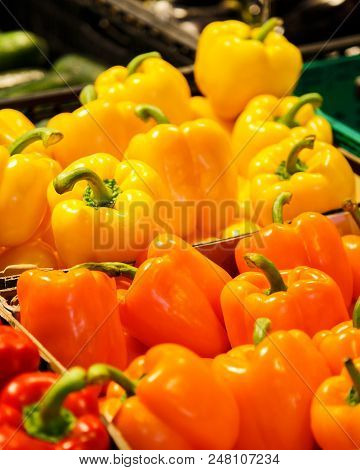 Colourful Mix Of Different Red, Orange, Yellow Fresh Bell Pepper At Market.