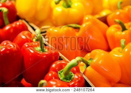 Colourful Mix Of Different Red, Orange, Yellow Fresh Bell Pepper At Market.