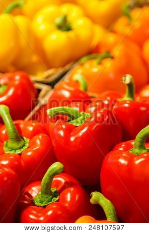 Colourful Mix Of Different Red, Orange, Yellow Fresh Bell Pepper At Market.