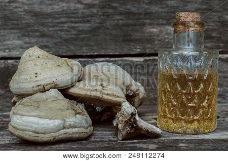 Chaga (shelf Fungus) Mushroom Medicinal Tincture On Wooden Background. Naturopathy. Alternative Medi