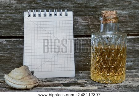 Chaga (shelf Fungus) Mushroom Medicinal Tincture On Wooden Background. Naturopathy. Alternative Medi