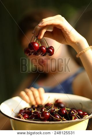 Sweet Cherry Merry In Human Hand With Teenager Girl On Background Close Up Summer Outdoor Photo