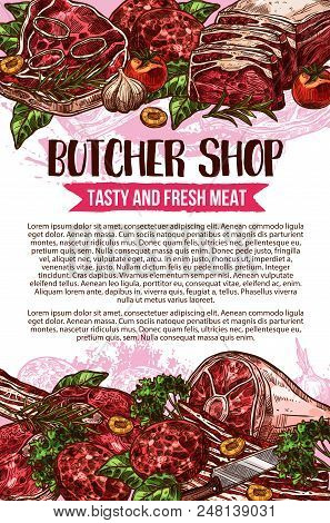 Butcher Shop Sketch Poster Design Of Meat Products. Vector Natural Butchery Meat Of Beef Or Mutton A