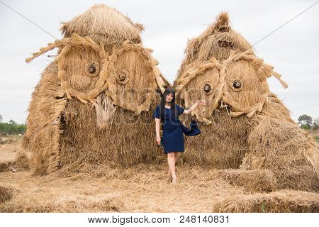 Nadun,maha Sarakham,thailand  - March 9, 2018: Show Idea Straw Puppet Festival In Nadun,maha Sarakha