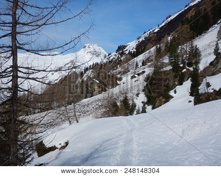 Beautiful Skitouring Day At Grossvenediger In Austria