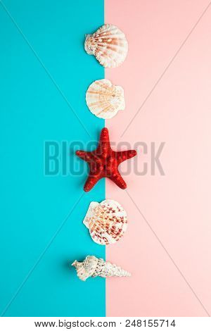 Seashells And Starfish Laid Out In A Line. Summer Minimal