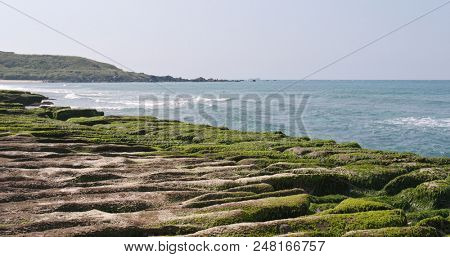 Beautiful Green Reef in New Taipei City of Taiwan with sunshine