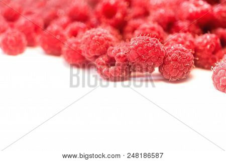Dripping Raspberry On White Background. Close-up Photo.