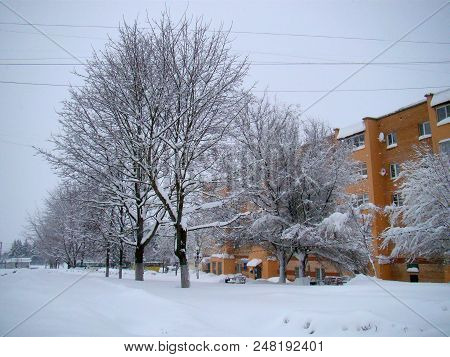 Winter Park Landcsape View After The Snowfall