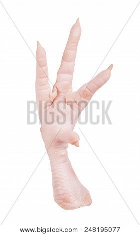 Raw Chicken Feet Isolated On White Chicken, Image, White, Background, Object,