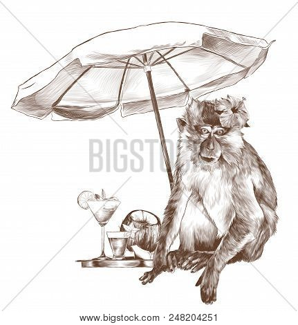 Monkey Sitting On The Beach Under A Beach Umbrella With A Tropical Flower On His Head